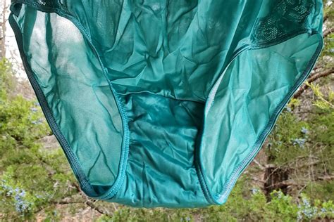 Shadowline Floral LACE Bikini Panty Shiny Nylon Silky Gem