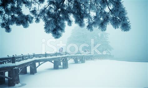 Winter Stock Photo Royalty Free Freeimages