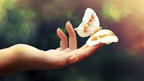 Sente Ou Senti - Sente ou senti: qual a diferença?