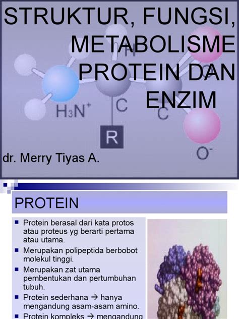 PDF Struktur Fungsi Protein Dan Enzim DOKUMEN TIPS