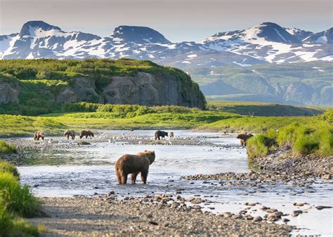 Alaska Holidays 2026 & 2027 - Tailor-Made from Audley Travel UK