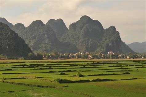 Tour To The Caves ONE DAY Tour To Phong Nha And Paradise Caves 2024