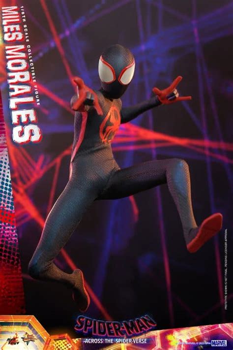 Hot Toys Miles Morales Figure Across The Spider Verse Limited Collectible Comic Concepts