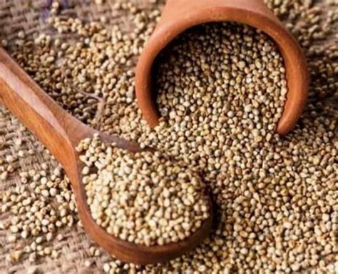 Bajra Sajjalu Sajje Whole Grains Bajra High In Protein At Rs 36