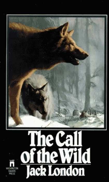 A Literary Odyssey: Book 38: The Call of the Wild and Book Stats.