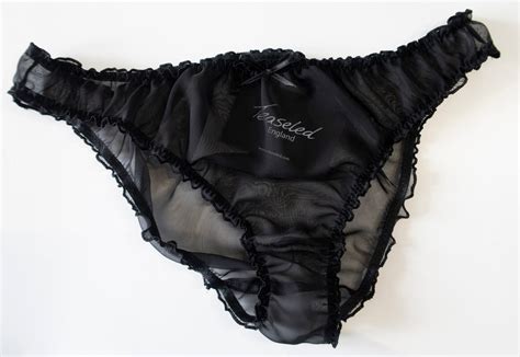 Black Sheer Chiffon Bikini Style Briefs Knickers Panties See Through Sexy Lingerie Etsy