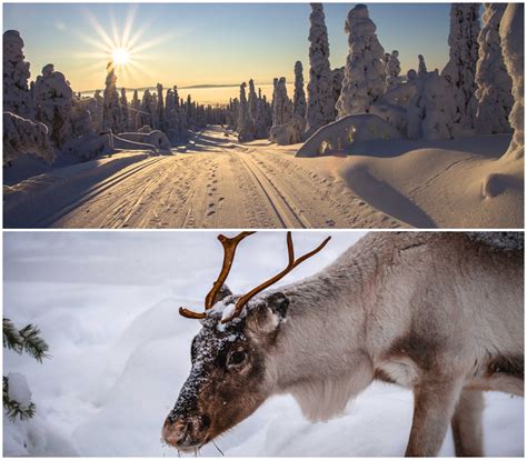 Global Young Crew Workshop in Finland 9th to 11th January 2024 - IPMA