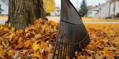 Commercial Fall Clean Up Calgary Ace Landscapes