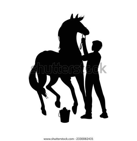 Man Washing Horse Over 159 Royalty Free Licensable Stock Illustrations