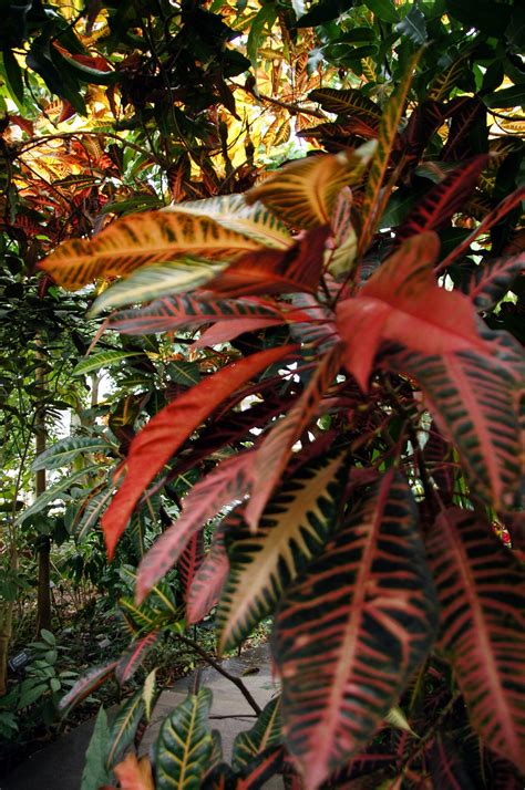 New climate-controlled glasshouses for brooklyn botanical 16