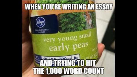 Fuck Essays R Memes