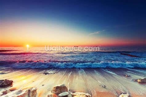 Beach Wallpaper Tropical Beach Wall Murals Wallsauce US