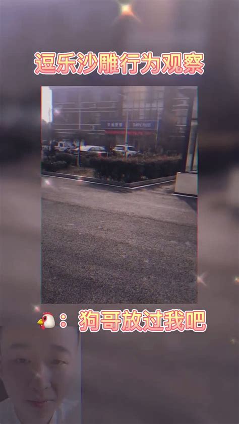 鸡：狗哥你快饶了我吧 狗哥 新浪新闻