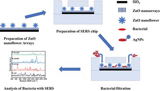 A Novel Multifunctional SERS Microfluidic Sensor Based On ZnO Ag