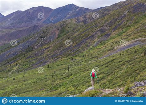 Hike In Tundra Stock Photo Image Of Hills Outdoors 266991784