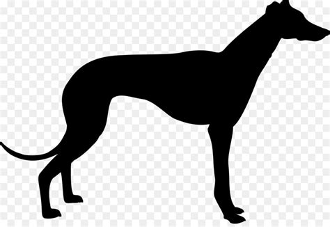 Greyhound Silhouette Clip Art Animal Silhouettes Png Download 2400