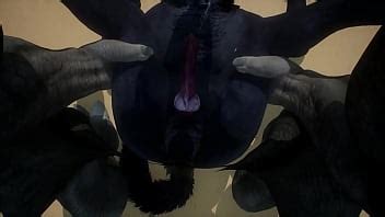 Wildlife Videos Xvideos