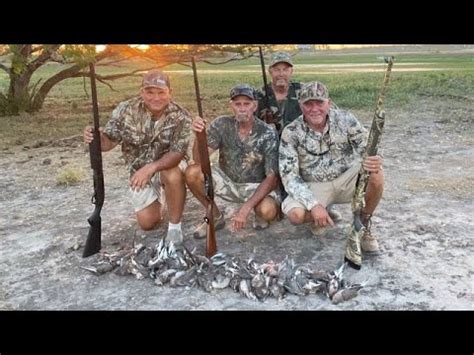 South Texas Dove Hunt Catch Clean Cook Pot Roasted Doves In A Dark