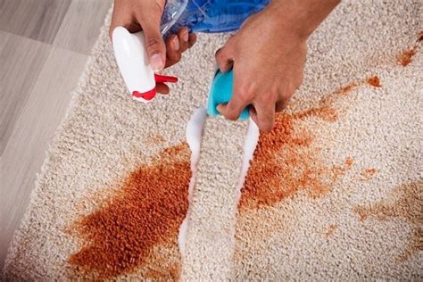 Best Upholstery & Carpet Stain Remover – QuickRecipes