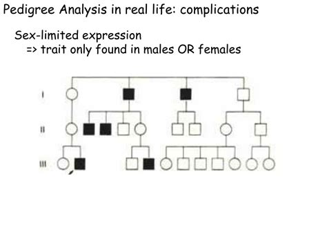 Ppt Understanding Sex Linked Traits And Pedigree Analysis Powerpoint Presentation Id