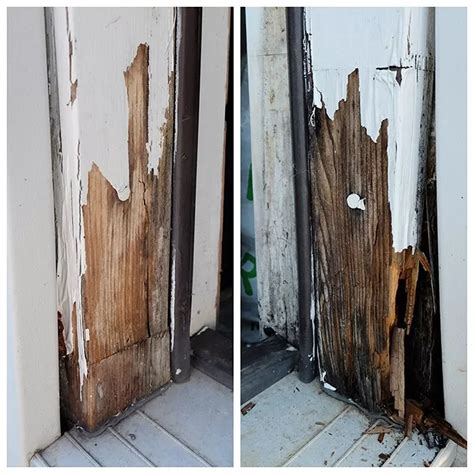 How To Repair Rotted Wood Artofit