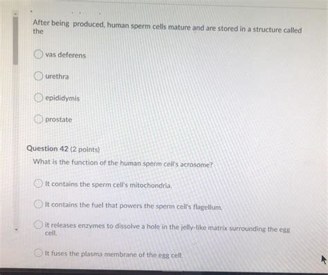 Solved After Being Produced Human Sperm Cells Mature And Chegg