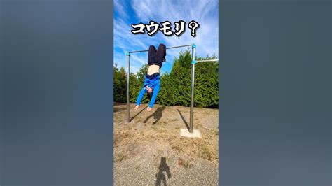 タイプ別鉄棒の使い方shorts Youtube