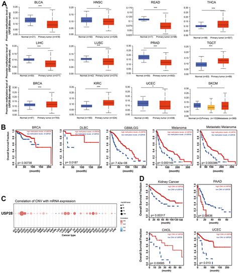 Comprehensive Prognostic And Immunological Analysis Of Ubiquitin