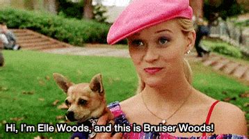 Legally Blonde GIFs Find Share On GIPHY