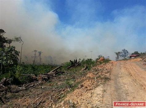 Huit Hectares De Végétation Et Deux Logements En Feu