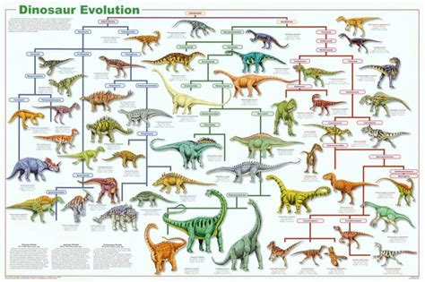 Dinosaur Evolution Chart