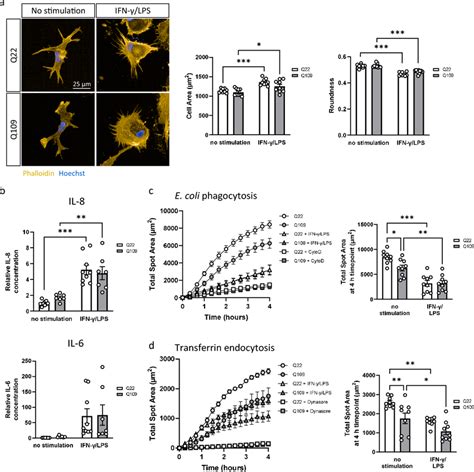 Effect Of Pro Inflammatory Stimulation On Q And Q Ipsc Microglia