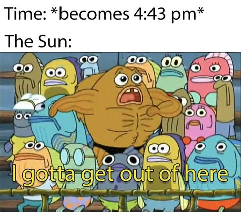 Funniest Spongebob Memes Of All Time The Ultimate Collection