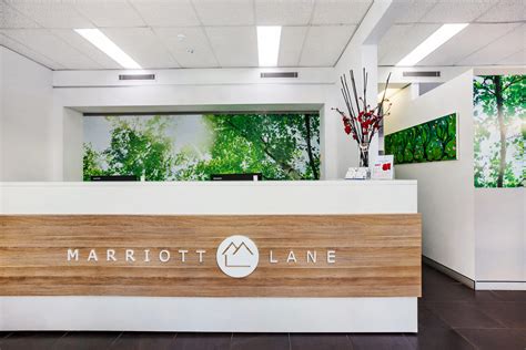 Marriott Lane's office renovation | Marriott Lane