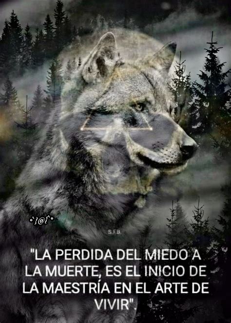 Pin De Miguel Fenrir Tostado De Aliot En LoBos FrAsEs Frases