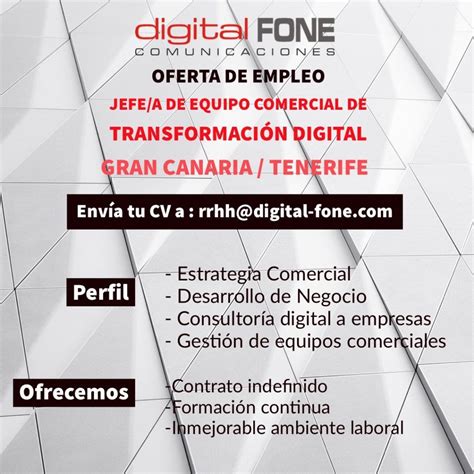 Jefe A De Equipo Comercial De Transformaci N Digital Para Gran Canaria