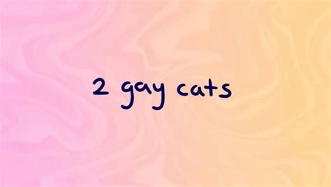 2 Gay Cats Screenies Cuz Why Not P In 2025 Gay Pilot Episode Cats