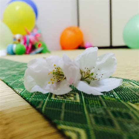 images white petal food green mat floristry flower bouquet