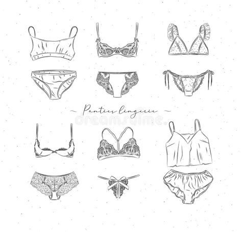 Cole O De Lingerie Ilustra O Do Vetor Ilustra O De F Mea