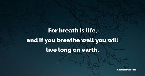 For Breath Is Life And If You Breathe Well You Will Live Long On Earth