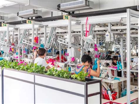 Bikini Europe And America Top Bikini Sexy Split Swimsuit Beach Foreign Trade Women S Swimsuit