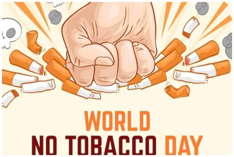 World No Tobacco Day धूम्रपान छोड़ने के बाद शरीर में दिखते ये 7