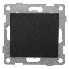 Выключатель двухполюсной самовозвратный без рамки Gusi Electric С10В6 ...