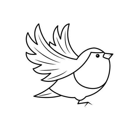 premium vector  bird  art
