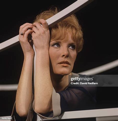 1549 Petula Clark Photos Stock Photos High Res Pictures And Images