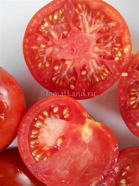 Томат Бабушка Бейкера: описание сорта, отзывы, фото | tomatland.ru