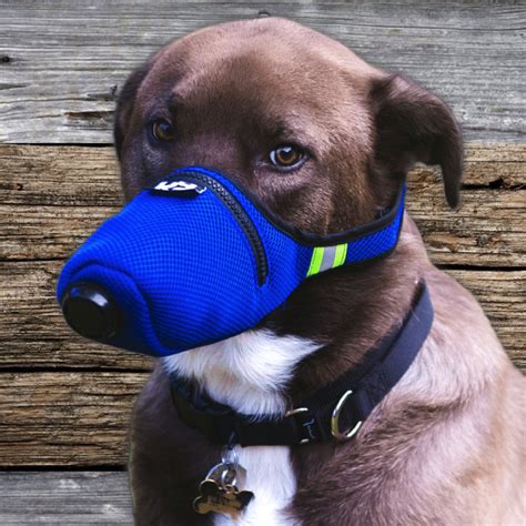 K9 Mask® Air Filter Mask For Dogs Medium K9 Mask Touch Of Modern