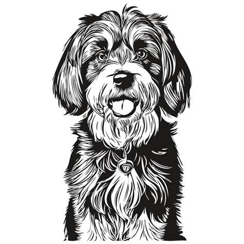 Perro Terrier Tibetano Logotipo Dibujado A Mano Dibujo Arte Lineal En