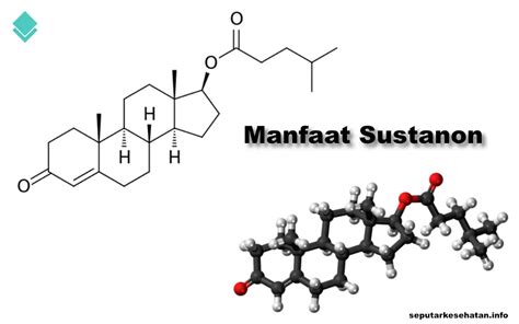 Sustanon Efek Penggunaan Dalam Pembentukan Otot Bodybuilder