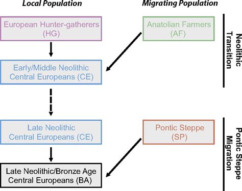 Ancient X Chromosomes Reveal Contrasting Sex Bias In Neolithic And Bronze Age Eurasian